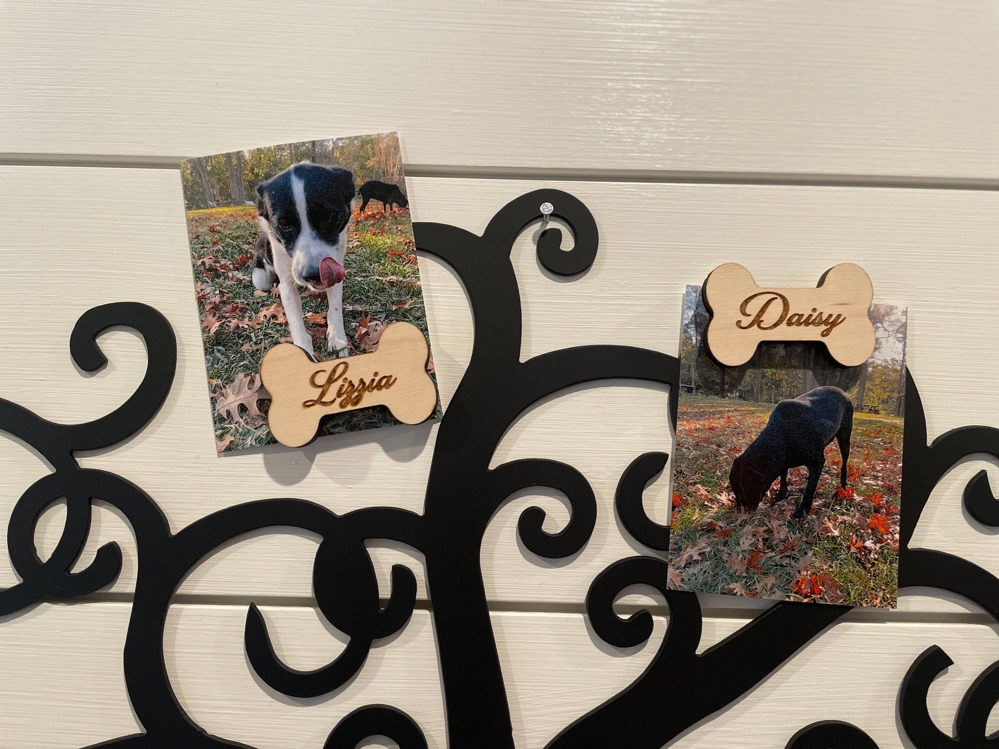 Personalized Dog Bone Magnets | Name magnets | Custom wooden magnets | Family Tree Names
