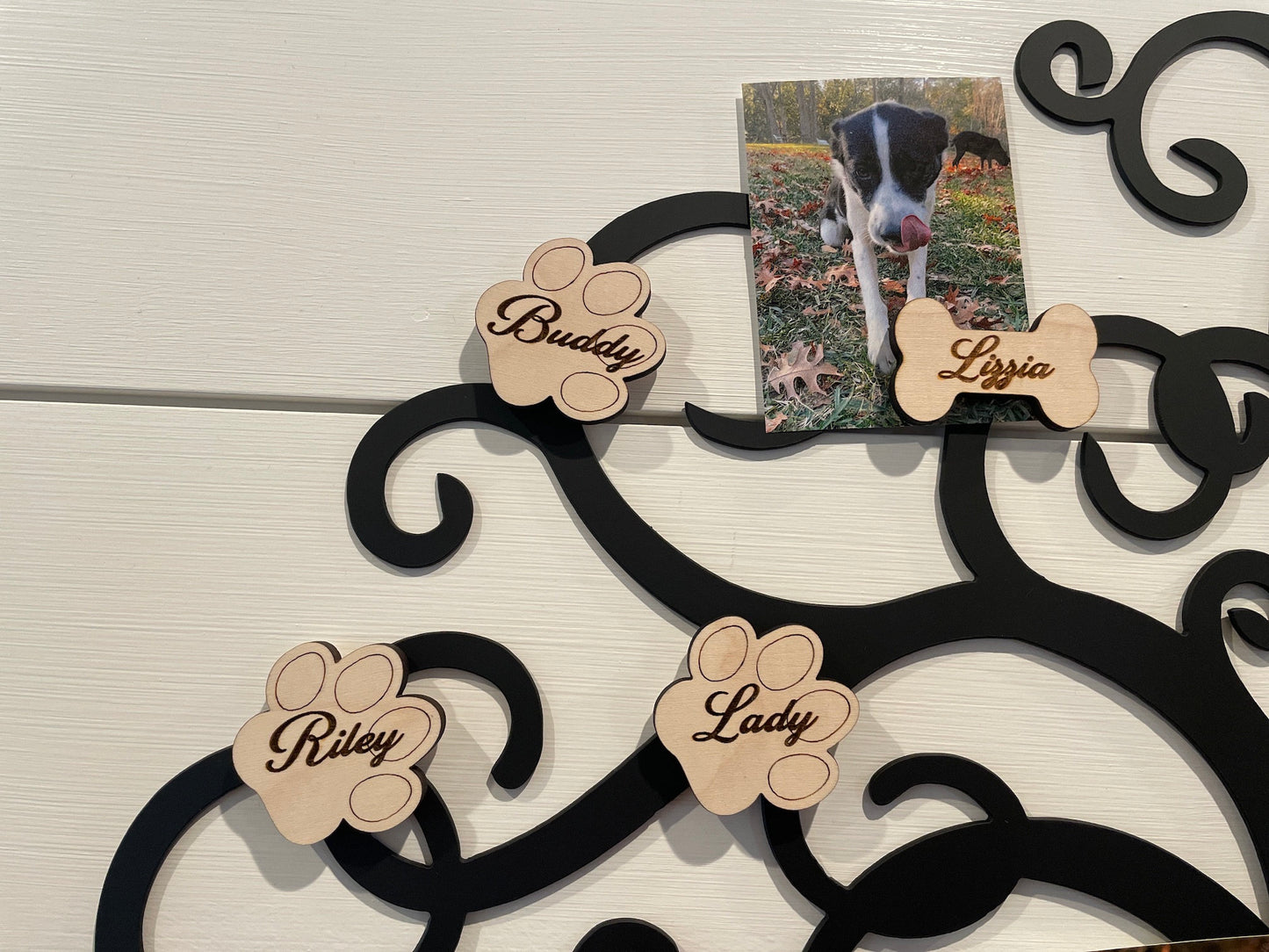 Personalized Paw Print Magnets | Name magnets | Custom wooden magnets | Family Tree Names